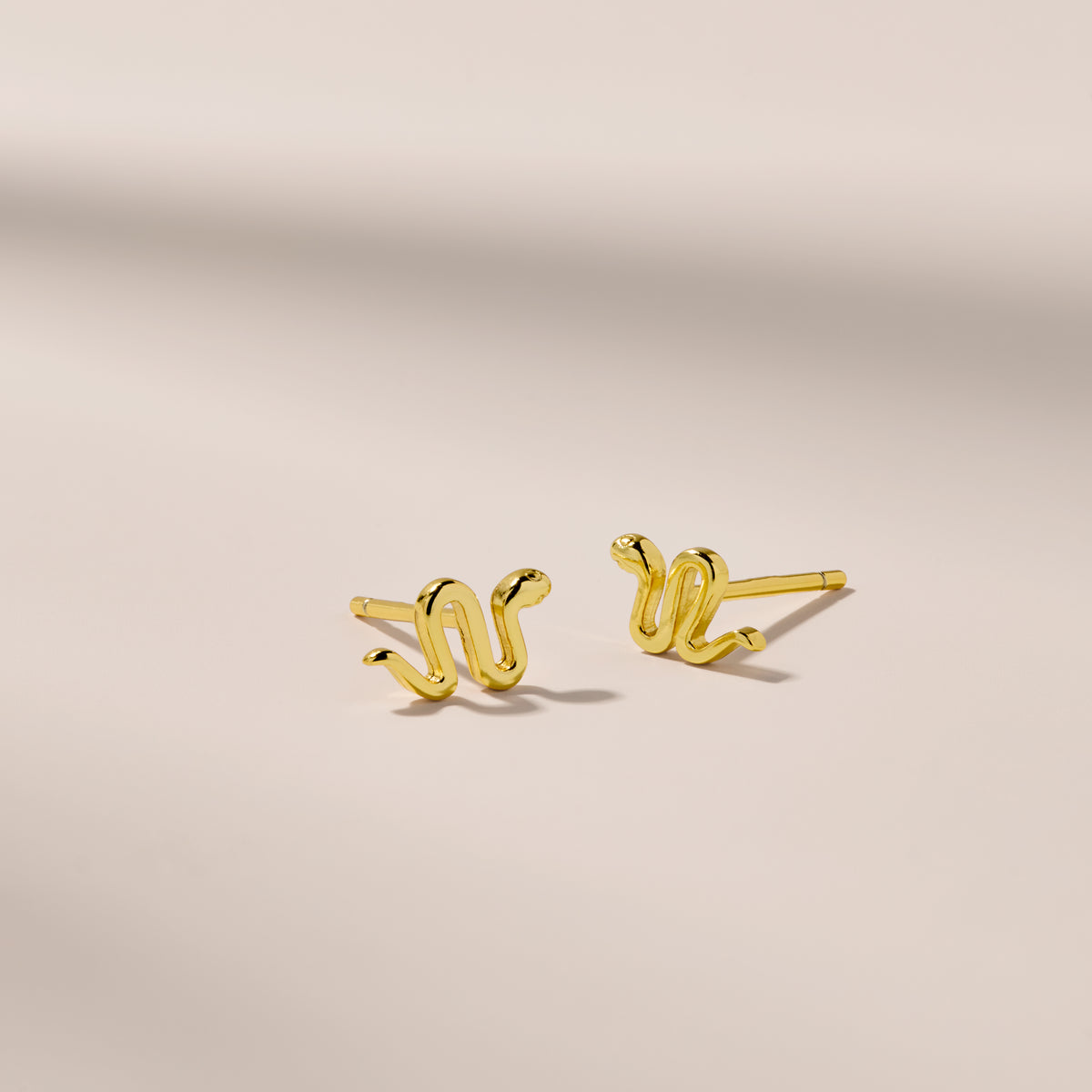 Tiny Snake Stud Earrings