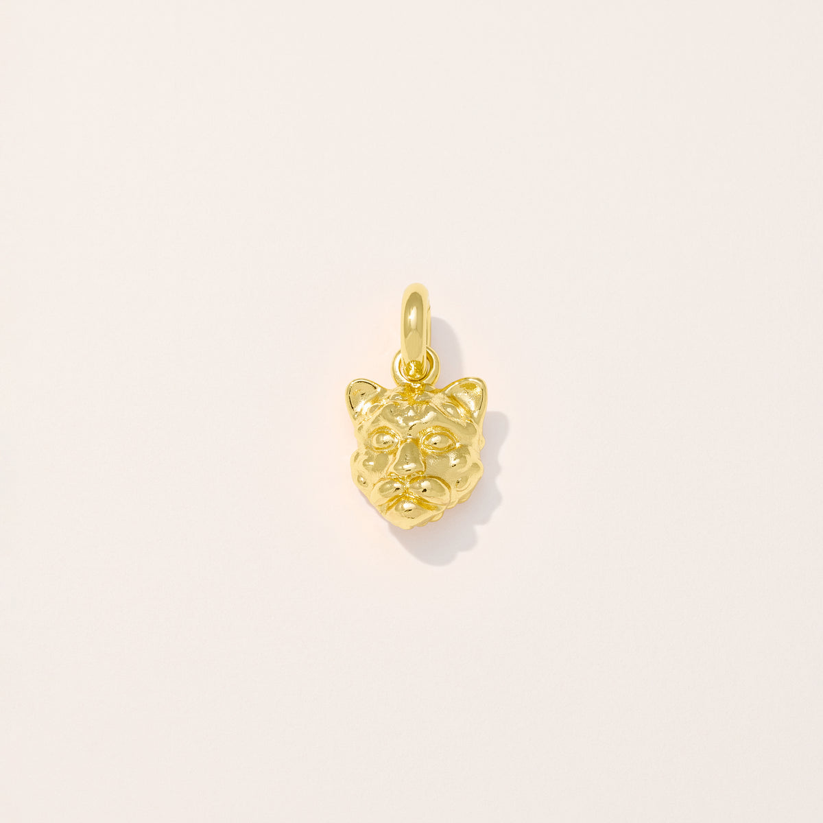 Jaguar Charm