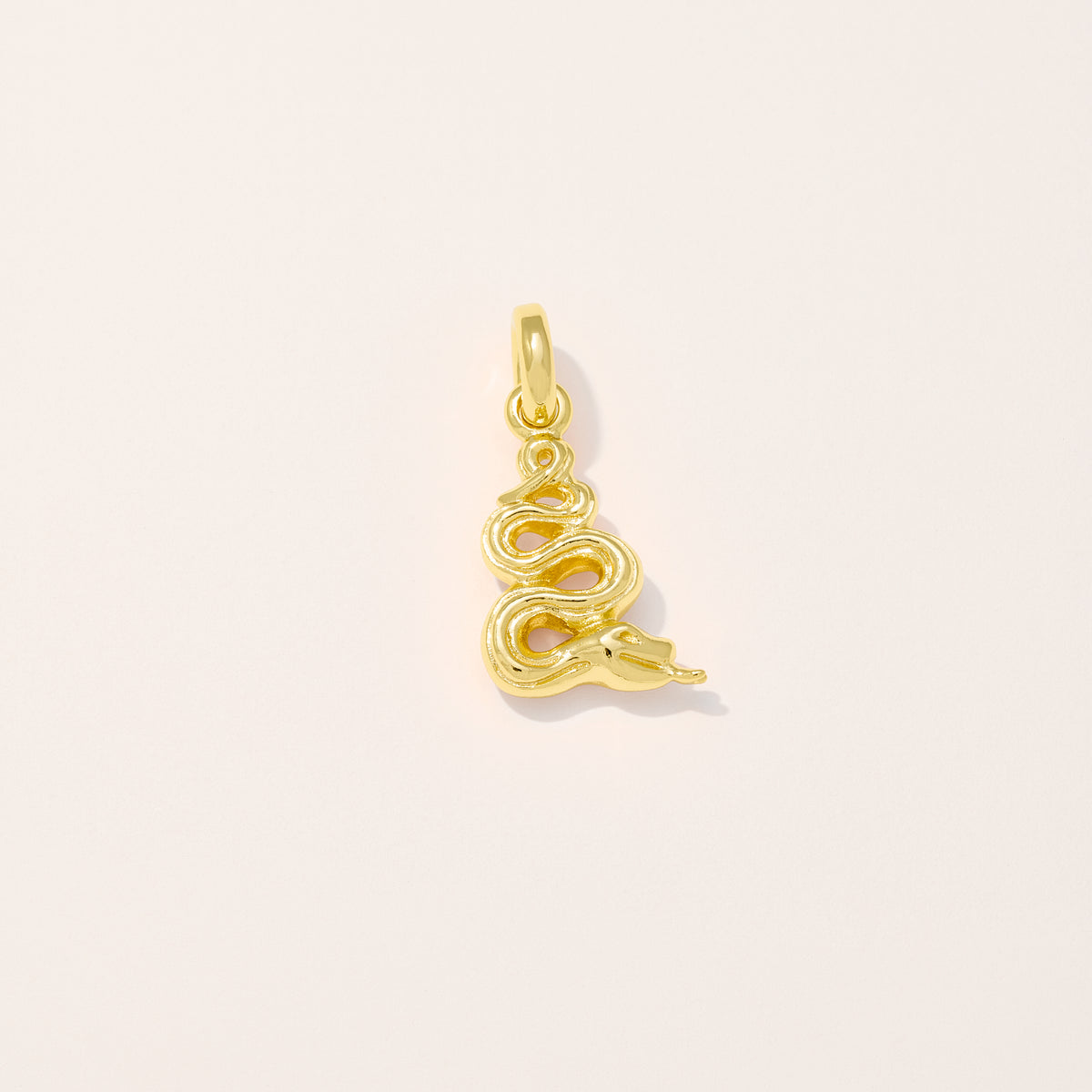 Snake Charm