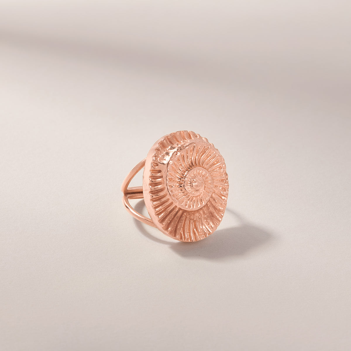 Ammonite Fossil Ring
