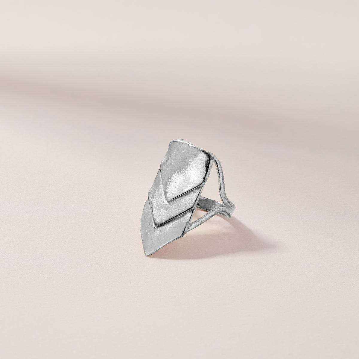 Scale Ring