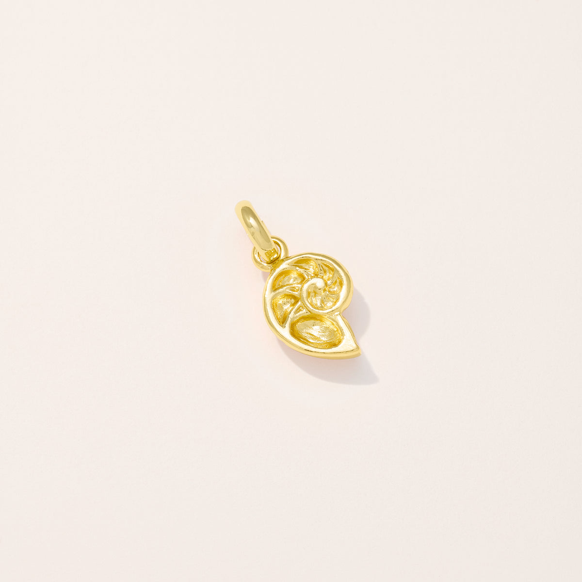 Shell Charm