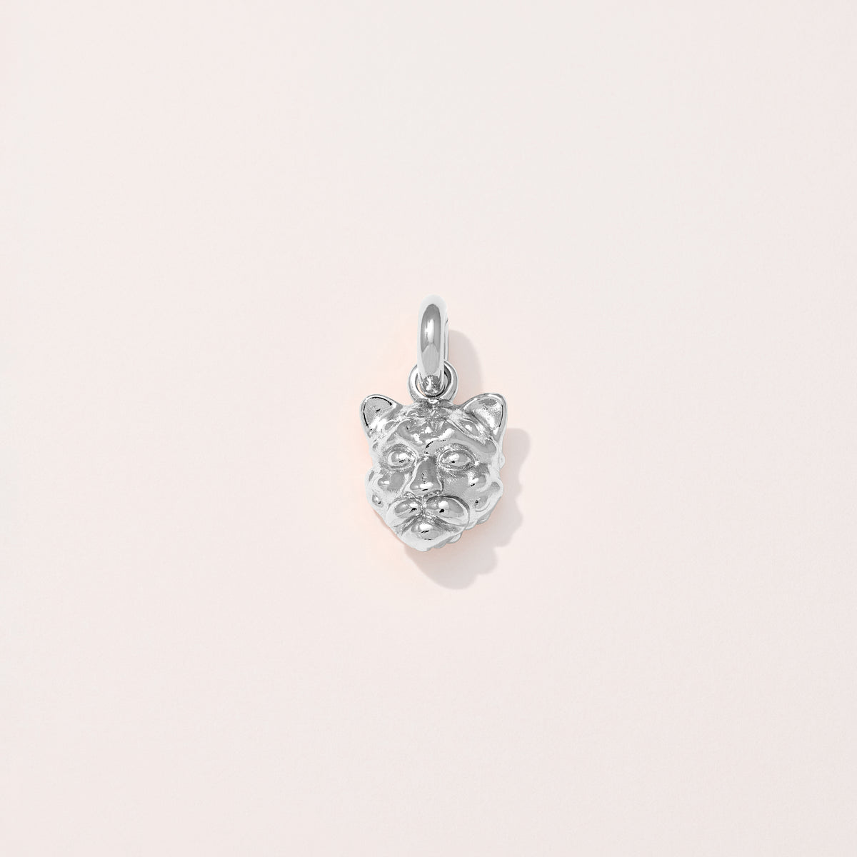 Jaguar Charm