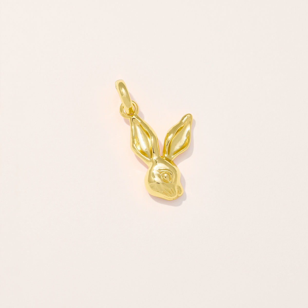 Rabbit Charm