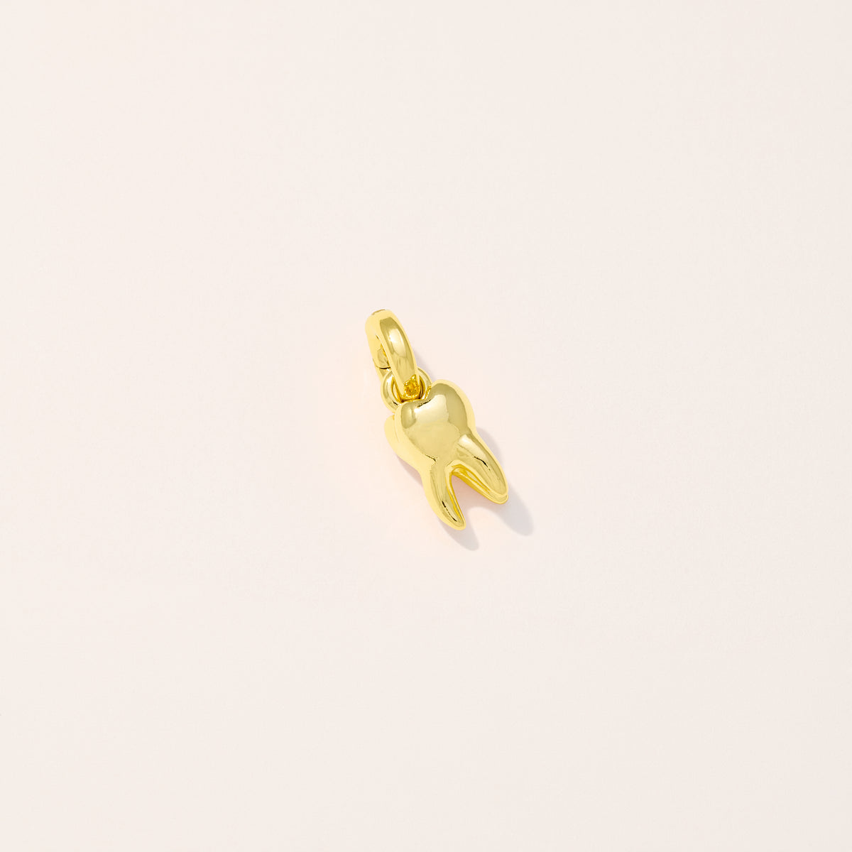 Tooth Charm
